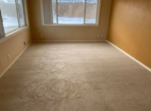 Before Carpet cleaning – iLovah Cleaning Services Toowoomba