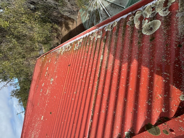 Before Roof cleaning – iLovah Cleaning Services Toowoomba