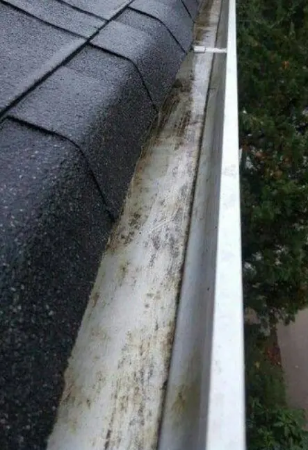 After Gutter cleaning – professional results by iLovah Toowoomba